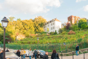 Amelie Poulain film locations Montmartre Paris France Rue Saint Vincent Clos Montmartre