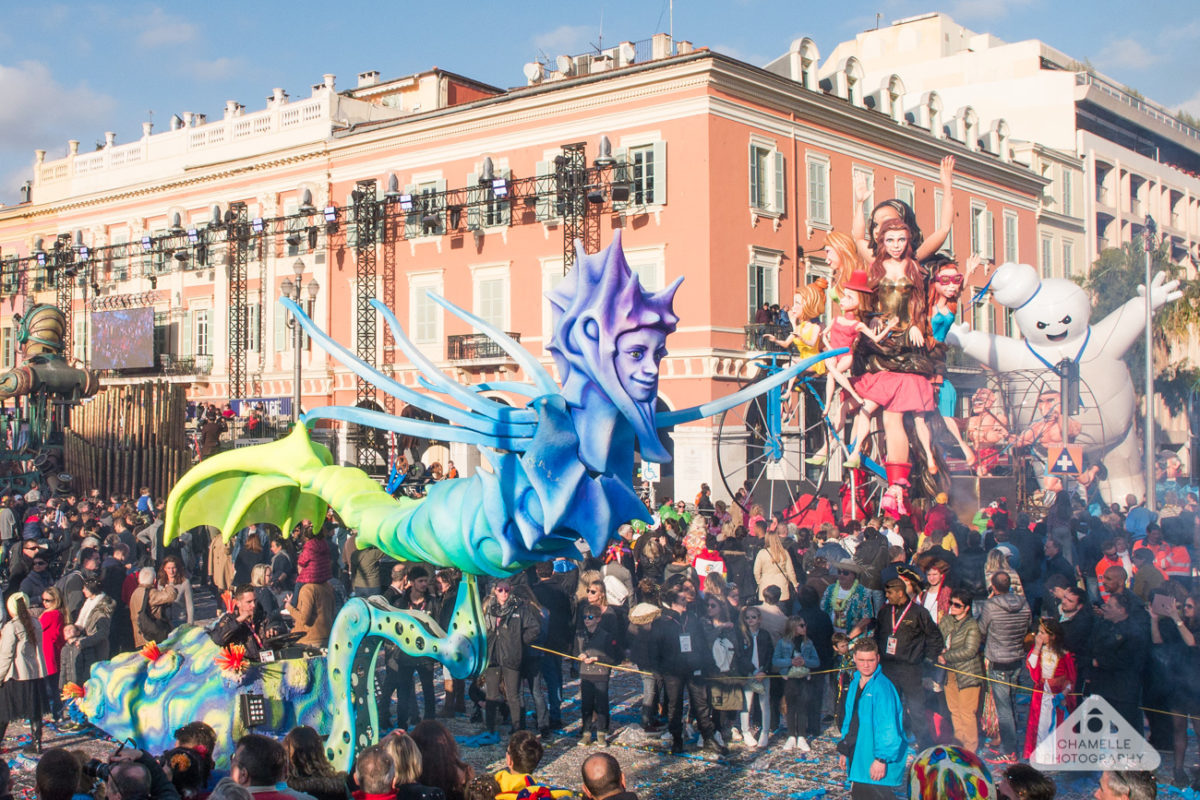 Carnaval de nice тюльпан фото и описание