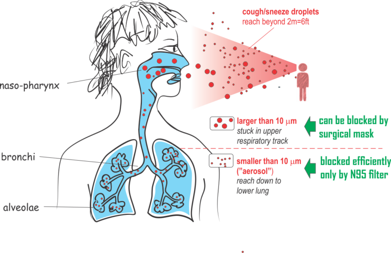 Wear face mask rationale diagram sneeze cough droplets - Chamelle ...